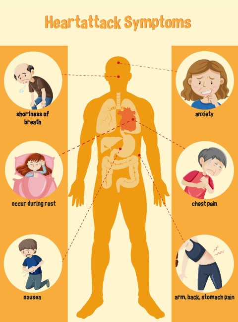 Know the Signs of a Heart Attack and What to Do (2026 Update)