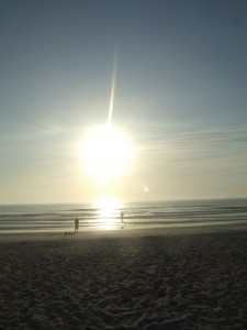 DSCF4451