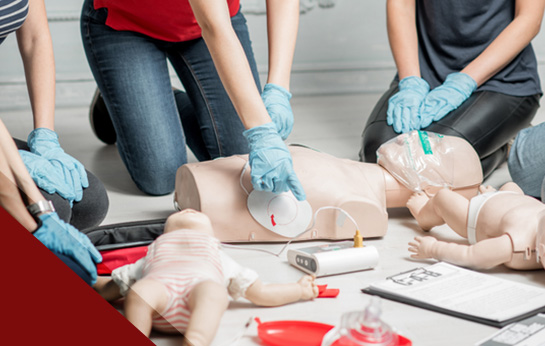 cpr process with dummy dolls